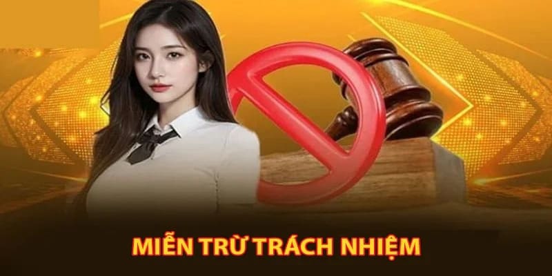 Tổng quan về miễn trừ trách nhiệm